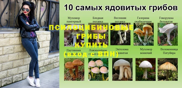mdpv Горнозаводск