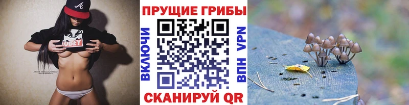 Галлюциногенные грибы прущие грибы  Купить закладки  Амурск 